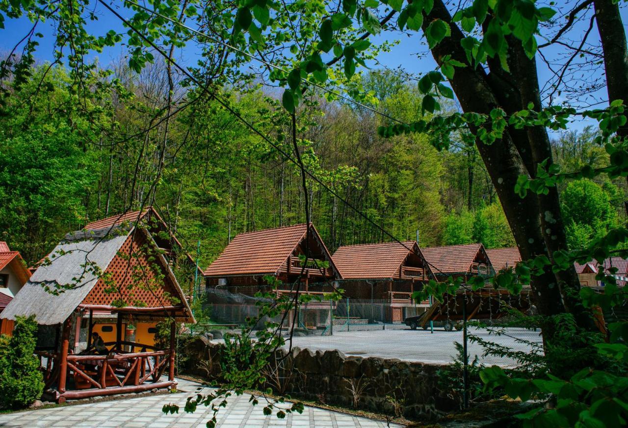 Hotel Toursit Complex Polyana Kvasova Extérieur photo