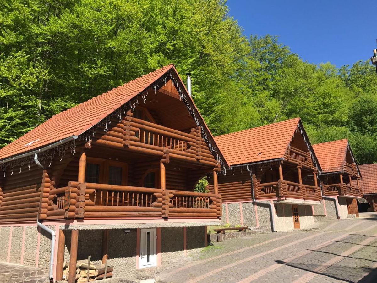 Hotel Toursit Complex Polyana Kvasova Extérieur photo