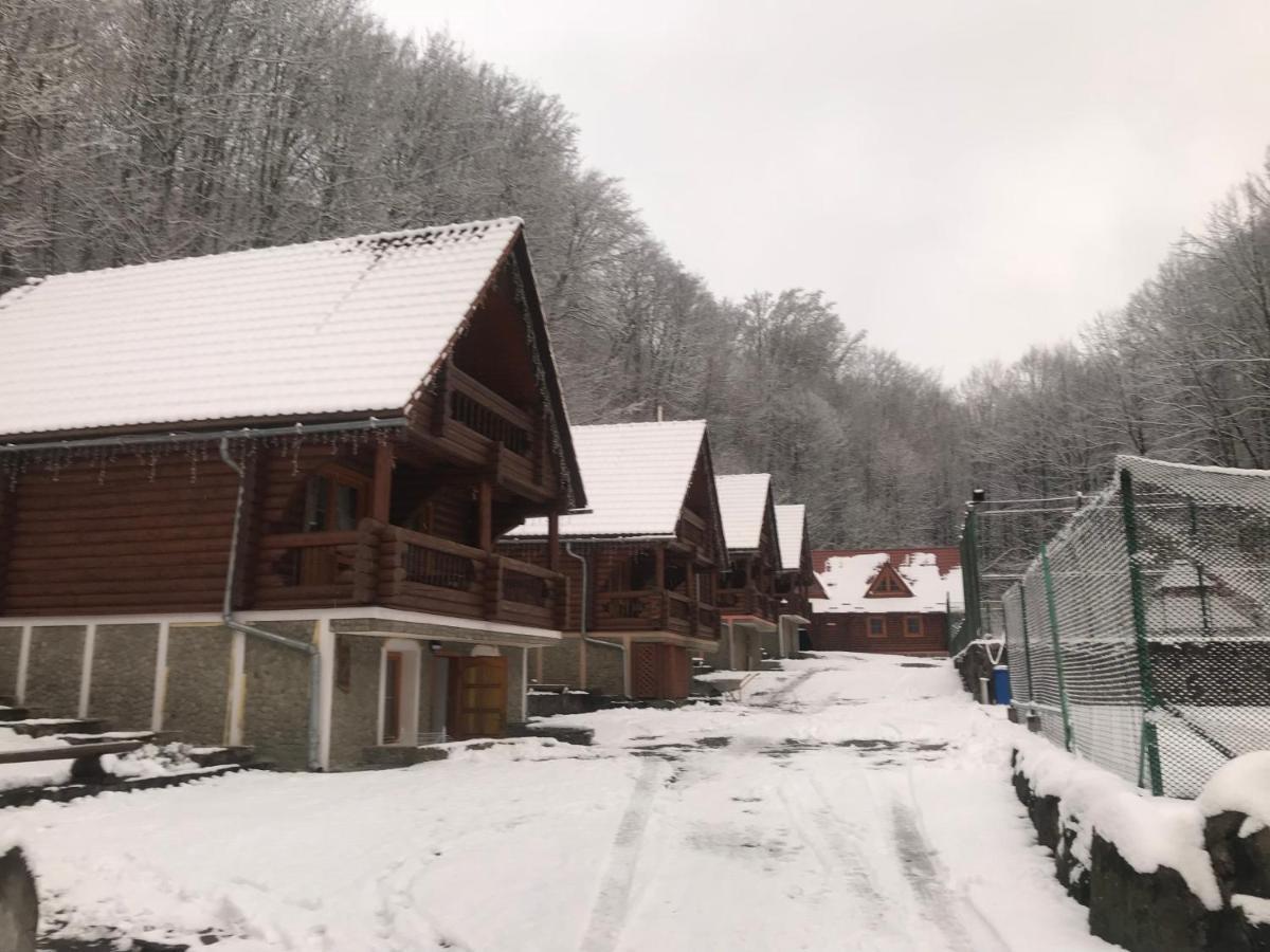 Hotel Toursit Complex Polyana Kvasova Extérieur photo